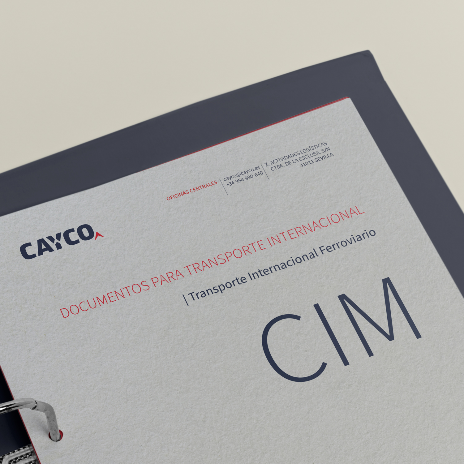 Documentos para Transporte Internacional (III) CAYCO